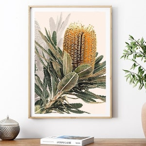 Australian Native Banksia Botanical Print - Digital Download Nature Wall Art Floral Watercolor Painting