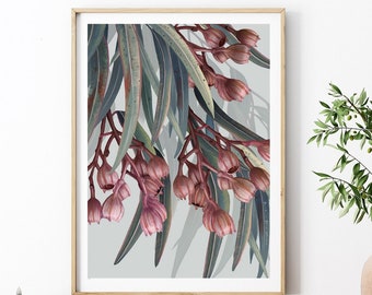 May include: A framed botanical print featuring a close-up of a branch of eucalyptus with pink flower buds against a light gray background.