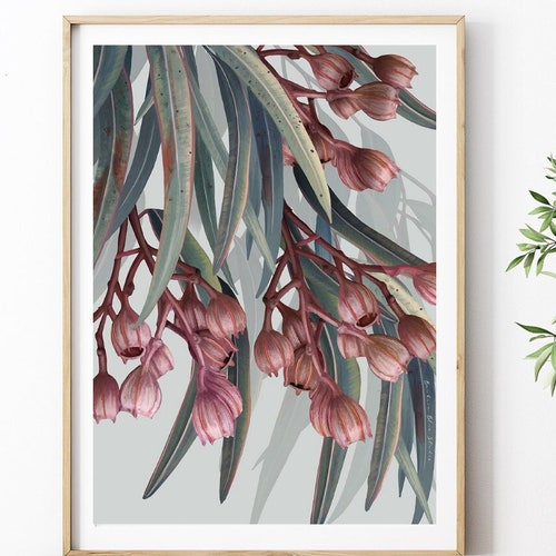 3 Piece Wall Art Australian Eucalyptus Gumleaf Wall Botanical Etsy