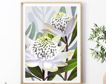 Impression d'art mural botanique australien Waratah : téléchargement numérique de la flore indigène pour les amoureux de la nature