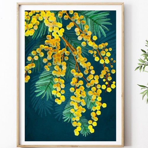 Australian Art Wattle Flower Original Print Nature Artwork - Etsy Australia