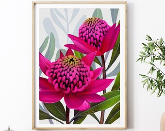 Impression d'art numérique Waratah rose : décoration murale flore indigène d'Australie, téléchargement d'oeuvres d'art florales botaniques