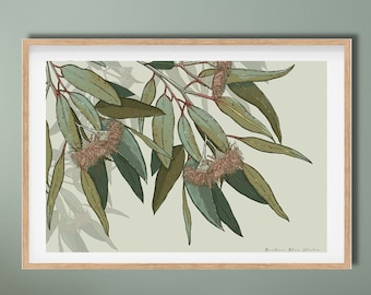 Australian Eucalyptus Botanical Digital Art Print: Gumleaf and Gumblossom Nature Wall Decor