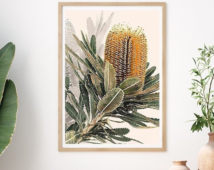 Australian Botanical Wall Art Prints and Wood by Banksiabluestudio