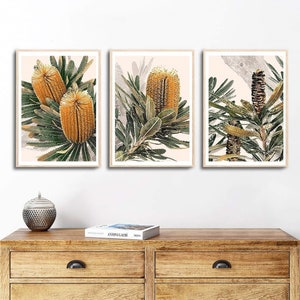 3 Piece Wall Art, Australian Art Print Banksia Botanical Print
