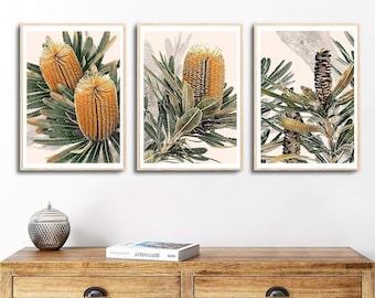May include: Three framed botanical prints featuring close-up images of Banksia flowers. The prints have a light pink background and feature green leaves and yellow-brown flowers.