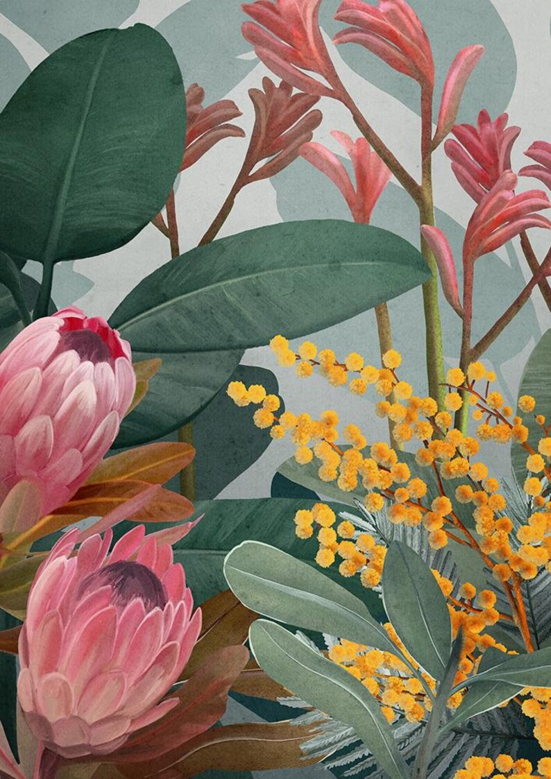 Set Of 2 Framed Australian Botanical Wall Art Prints Bush Etsy