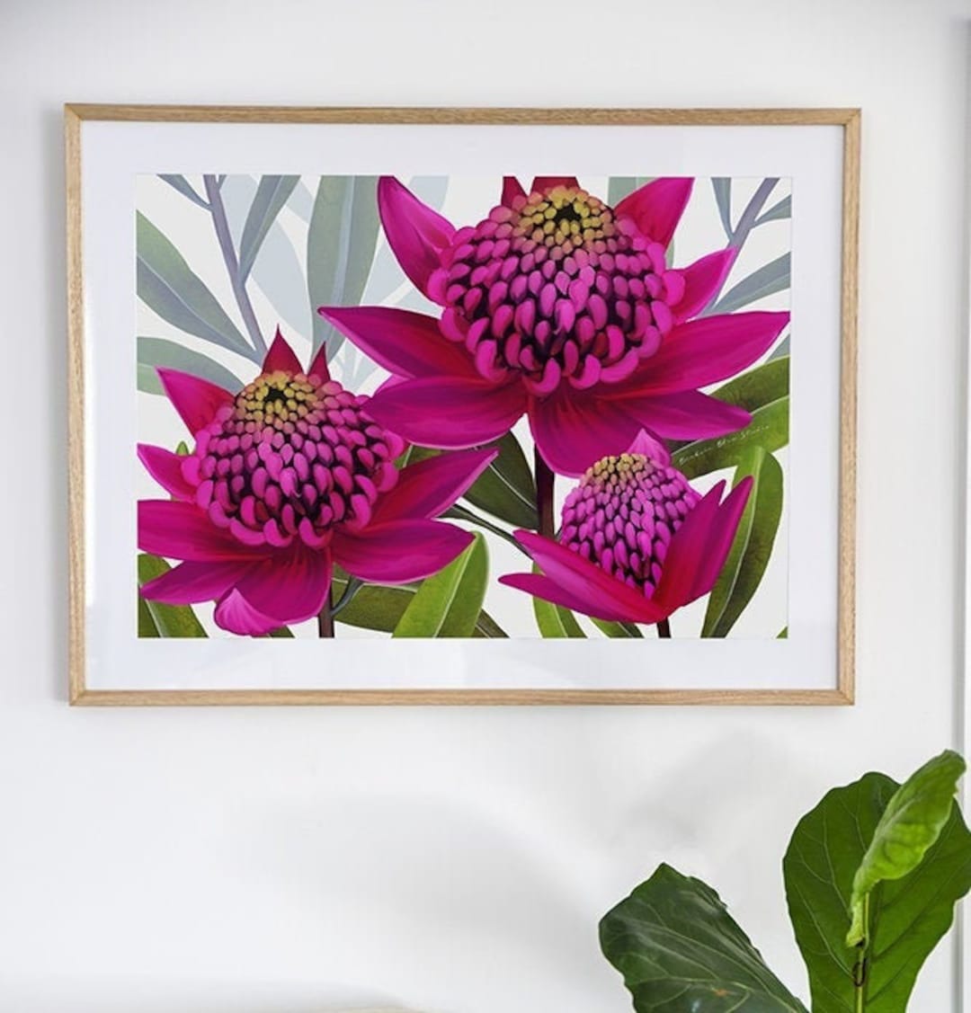 Australian Native Flower Wall Art Pink Waratah Etsy
