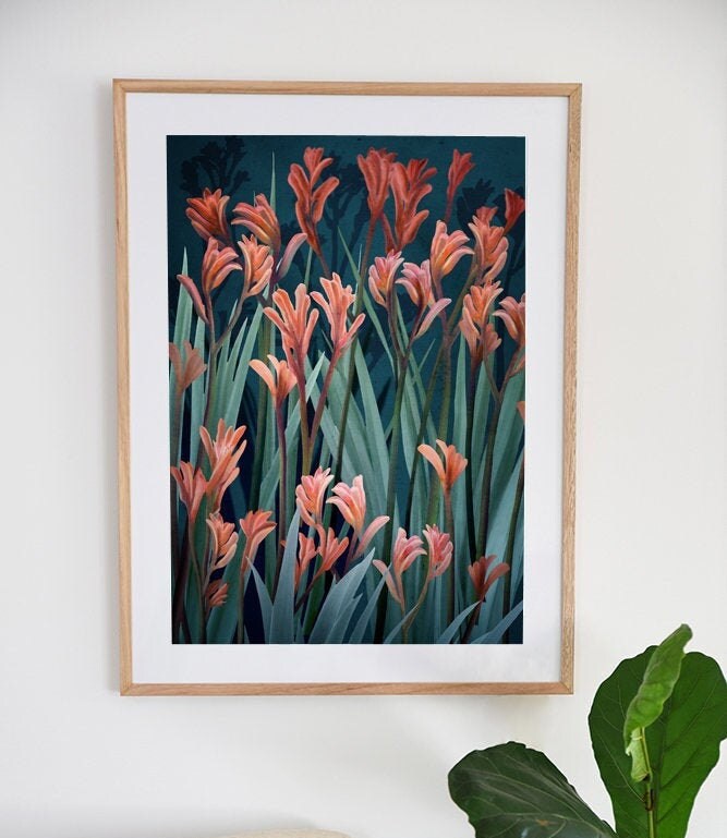 Australian Native Flower Wall Art Australian Kangaroo Paw Etsy Australia