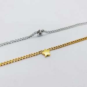 May include: Two delicate chain necklaces, one silver with a star charm and the other gold with a star charm. The silver chain has a small letter 'S' charm.