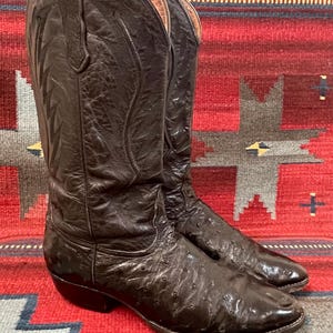 Könnte beinhalten: Ein Paar braune Cowboy-Stiefel aus Straußenleder mit spitzer Zehenpartie und traditionellem Western-Design. Die Stiefel stehen auf einem roten und grauen Teppich mit Muster.