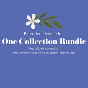 Extended Commercial License: 1 Collection