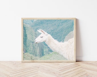 Llama Wall Art, Modern Minimal Wall Art, Digital Download, Inca Trail Print, Llama Wall Hanging, Peru Digital Art, Peruvian Llama Poster