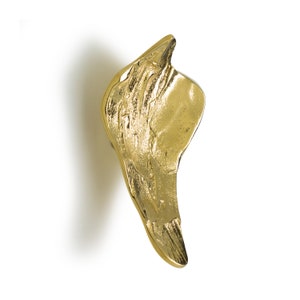 May include: A gold-coloured metal wing-shaped door handle with a textured surface.