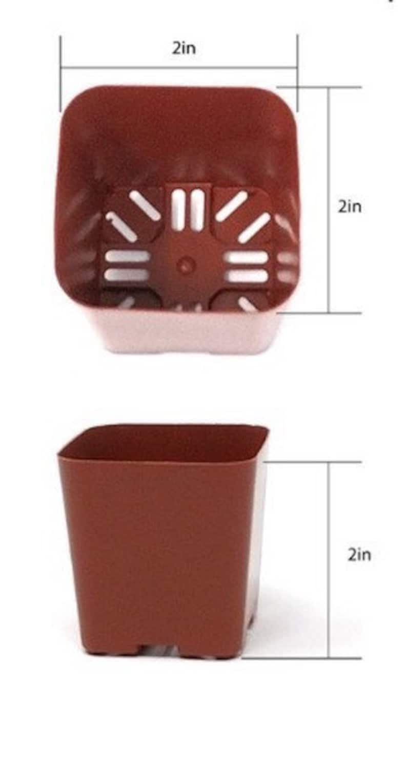 Puede incluir: Dos macetas cuadradas de pl&aacute;stico marr&oacute;n, cada una de 5 cm de ancho y alto. La maceta superior tiene agujeros de drenaje.