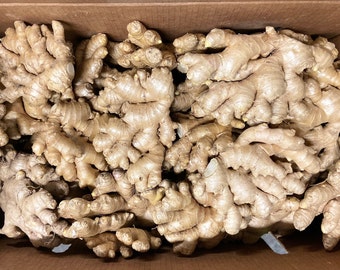 Fresh Ginger Root Organic USDA Certified - Jengibre Organico -