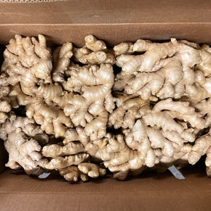 May include: A box filled with fresh ginger root. The ginger is light brown and has a knobby texture.