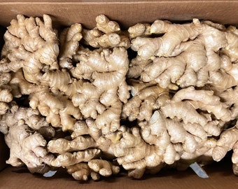 Fresh Ginger Root Organic USDA Certified - Jengibre Organico Natural Fresco