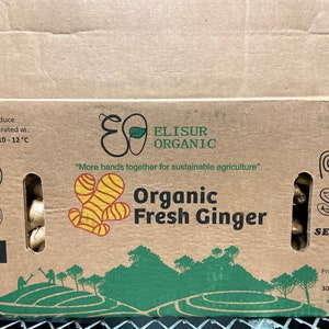 Fresh Organic Ginger Root - Whole Rhizome for Cooking, Tea, Juicing bild 6
