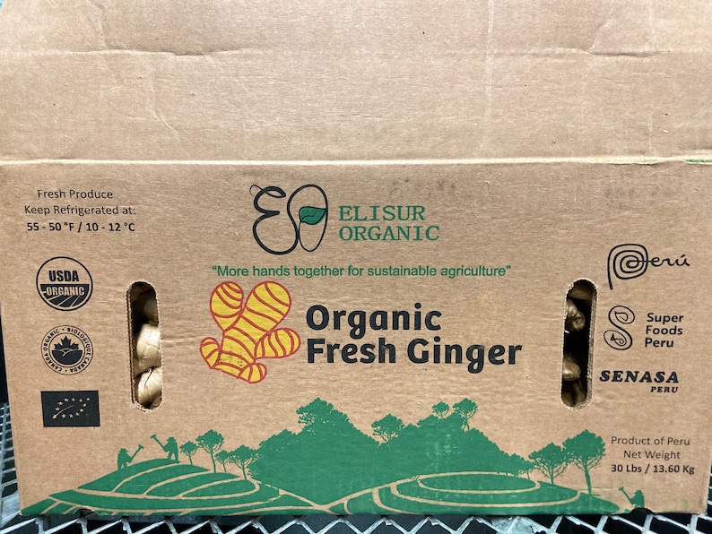 Fresh Organic Ginger Root - Whole Rhizome for Cooking, Tea, Juicing bild 6