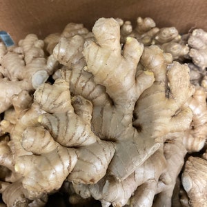 Fresh Organic Ginger Root - Whole Rhizome for Cooking, Tea, Juicing bild 2