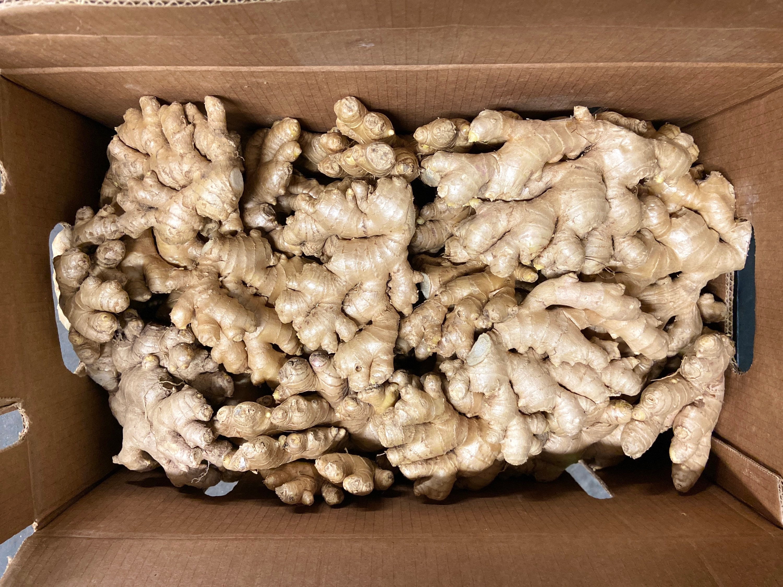 Fresh Organic Ginger Root - Farm Fresh Whole Rhizome for Cooking
