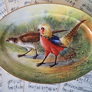 Antique Limoges Porcelain Hand painted Oval serving dish with Hunting Birds - Game Birds