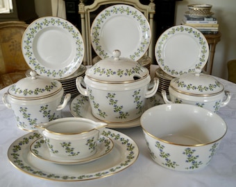 Vintage Dinnerservice of Heinrich Höchst Porcelain with pattern &quot;JUNO&quot; Fleurs Barbeaux