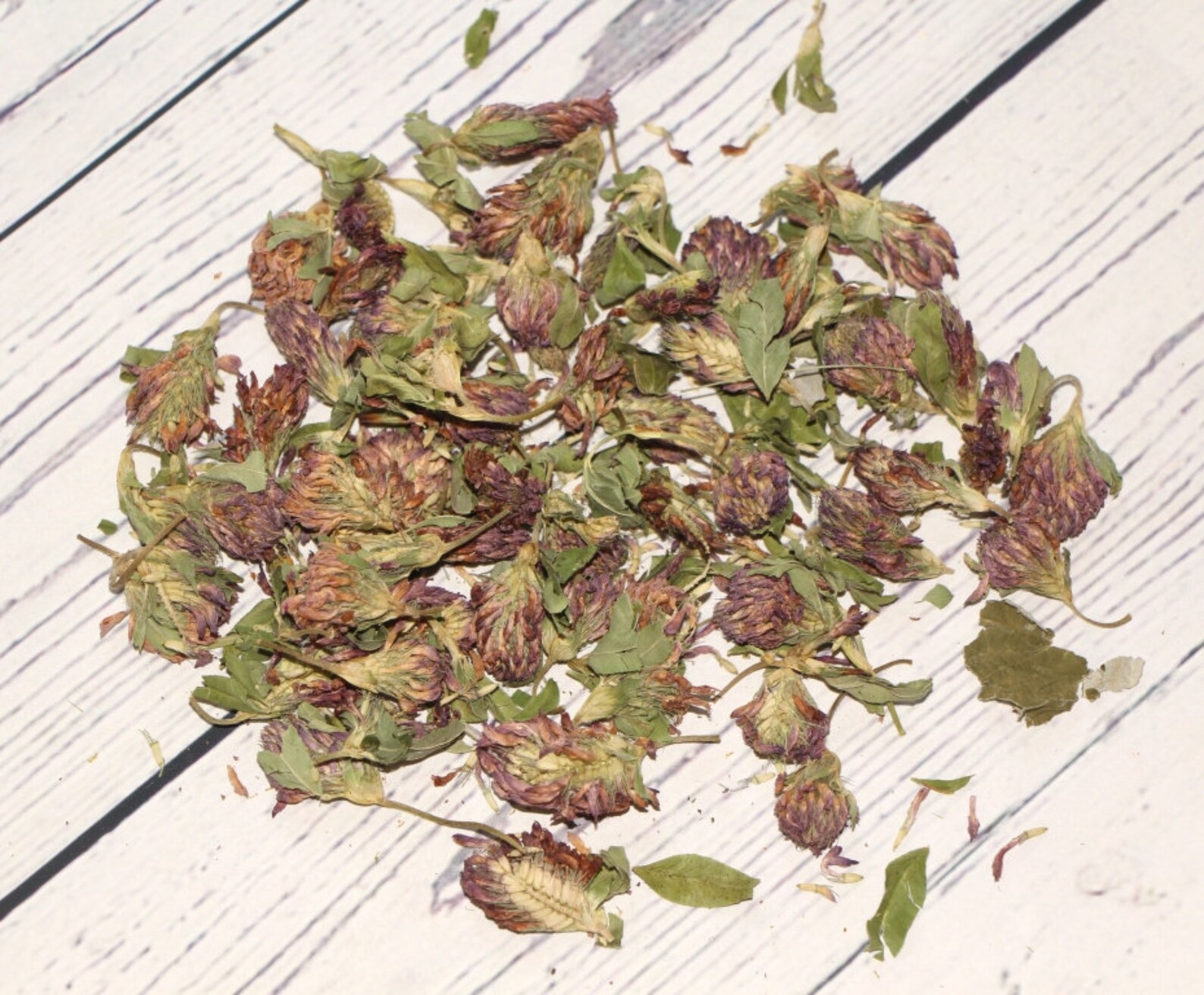 Red Clover Flowers Organic Dried Bulk Herb 5g 50g Etsy