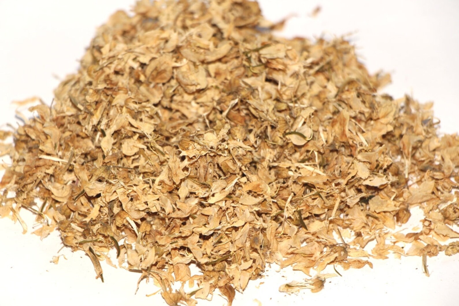 Acacia Dried Flowers Organic Acacia White Flowers Etsy