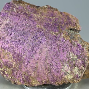 May include: A close-up of a purple and gold mineral specimen. The mineral has a rough, textured surface and a metallic sheen.