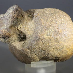Fossiliserad koprolit ~65 mm | FCP019