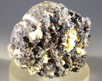 May include: A close-up of a dark brown and black mineral specimen with white crystals. The specimen is rough and has a natural, unpolished look.