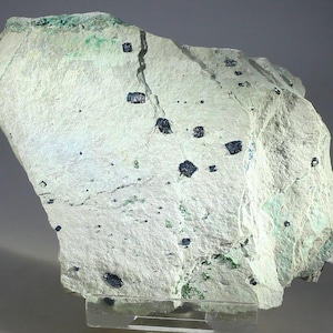 May include: A rough, light-colored rock with embedded dark, shiny crystals. The rock has a textured surface with small, dark spots and patches of green. The crystals are irregularly shaped and scattered across the surface. The rock is displayed on a clear stand.