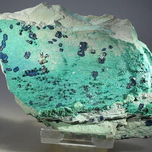May include: A close-up of a mineral specimen with a vibrant teal and blue color palette. The rock has a rough, textured surface with dark blue clusters and spots scattered across the teal base. The mineral sits on a clear display stand.