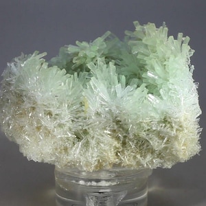 Pode incluir: Um aglomerado de cristais em forma de agulha, de cor verde menta pálido, que irradiam de um ponto central. O espécime mineral apresenta formações translúcidas, afiadas e alongadas com brilho vítreo, sobre um suporte de acrílico transparente.