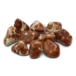 Garnet in Limestone Tumble Stones (20-25mm) | T194