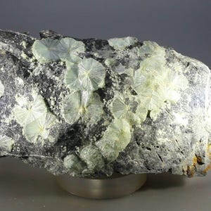 May include: A close-up of a rock formation with light green, radial crystal clusters. The crystals are clustered on a dark gray, textured rock surface. The crystals have a fan-like appearance.