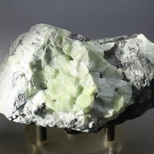 May include: A close-up of a mineral specimen featuring a light green, radiating crystal formation within a gray and black rock matrix. The crystals have a delicate, fan-like appearance. The overall texture is rough and natural.