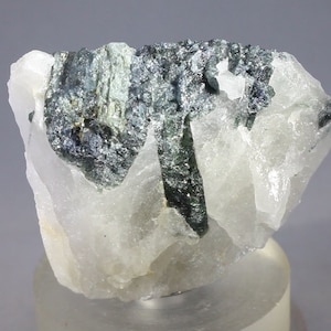 Dark Green Tourmaline in Quartz ~43mm | MTG050