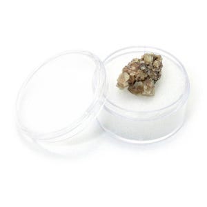 May include: A small, light brown mineral specimen with crystalline structures, displayed in a clear, round plastic container with a removable lid. The mineral sits on a white foam insert, and the container is open, revealing the specimen.