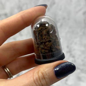 Nantan Meteorite Dust Energy Dome (Limited Edition) | DGC30
