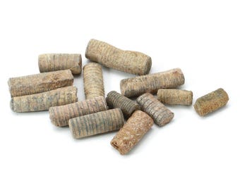 Bag of Crinoid Stems - 20g Bag | BB12
