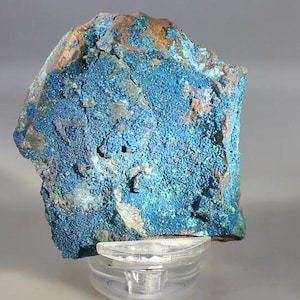 May include: A raw mineral specimen featuring a vibrant, textured surface of deep blue and bright azure crystalline clusters. The rock formation displays irregular edges with patches of brown and grey stone visible along the perimeter, resting on a clear stand.