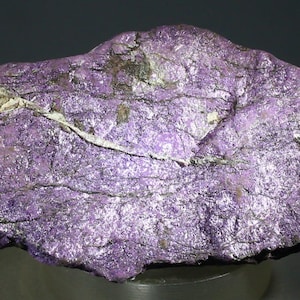May include: A close-up of a rough, textured rock formation. The rock is primarily a vibrant purple color with shimmering, reflective surfaces. White and gray veins run through the rock, adding contrast and detail. The overall appearance suggests a mineral specimen.