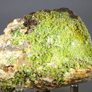 Op de afbeelding: Een close-up van een groen mineraalmonster met een ruw, getextureerd oppervlak. Het mineraal is een cluster van kleine, groene kristallen die dicht opeengepakt zijn. Het monster bevindt zich op een donkergrijze achtergrond.