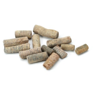 Bag of Crinoid Stems - 20g Bag | BB12