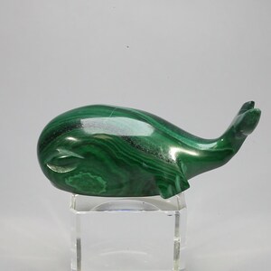 Malachite Crystal Whale ~59x25mm | CAS225
