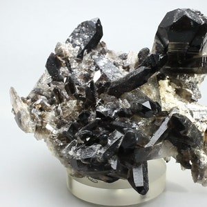 Smoky Quartz Cluster ~95mm | QSQ119