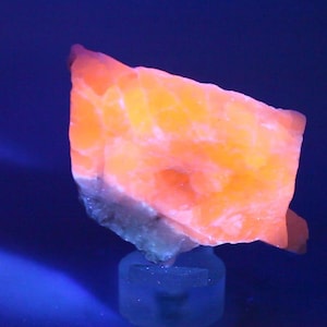 May include: A raw mineral specimen exhibiting intense fluorescent orange and yellow coloration under ultraviolet light. The stone has a jagged, crystalline texture with a translucent appearance, mounted on a small, clear circular acrylic base.
